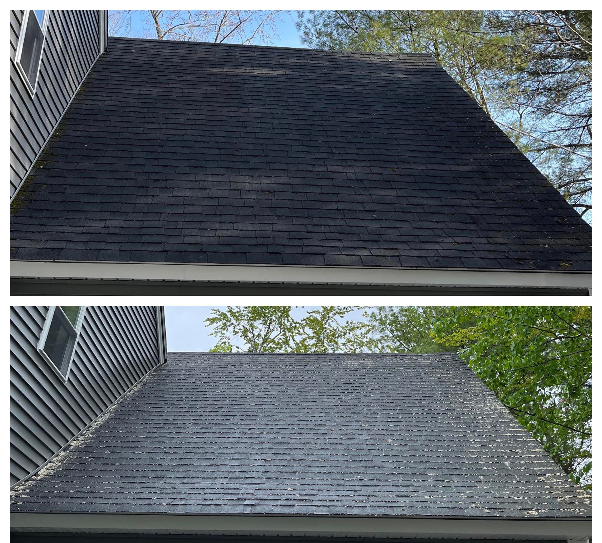 Roof moss removal services in Wolfesboro